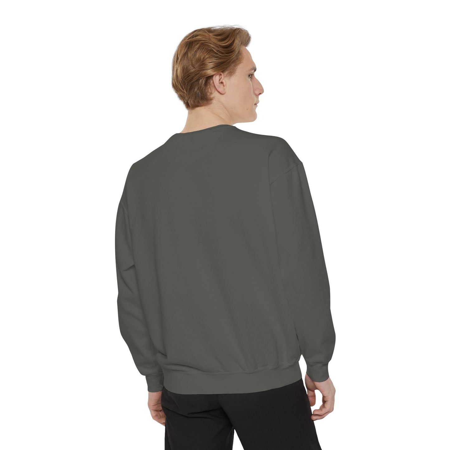 Funny Halloween Dracula Sweatshirt