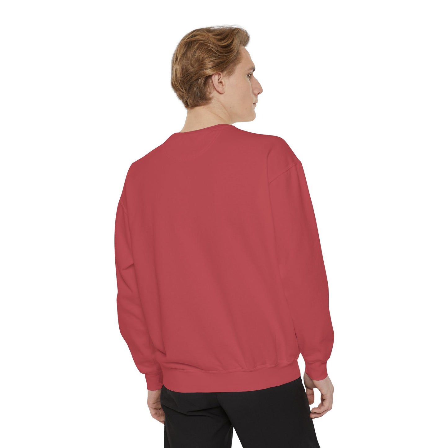 Funny Halloween Dracula Sweatshirt