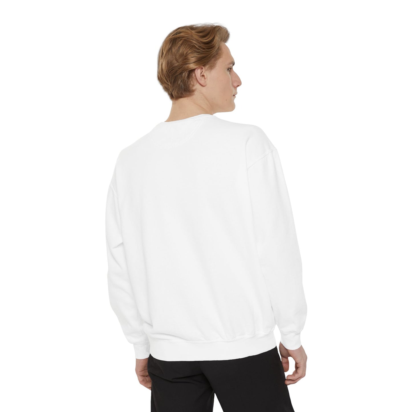 Funny Halloween Dracula Sweatshirt